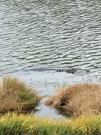 Golf Club «SANDRIDGE GOLF CLUB», reviews and photos, 5300 73rd St, Vero Beach, FL 32967, USA