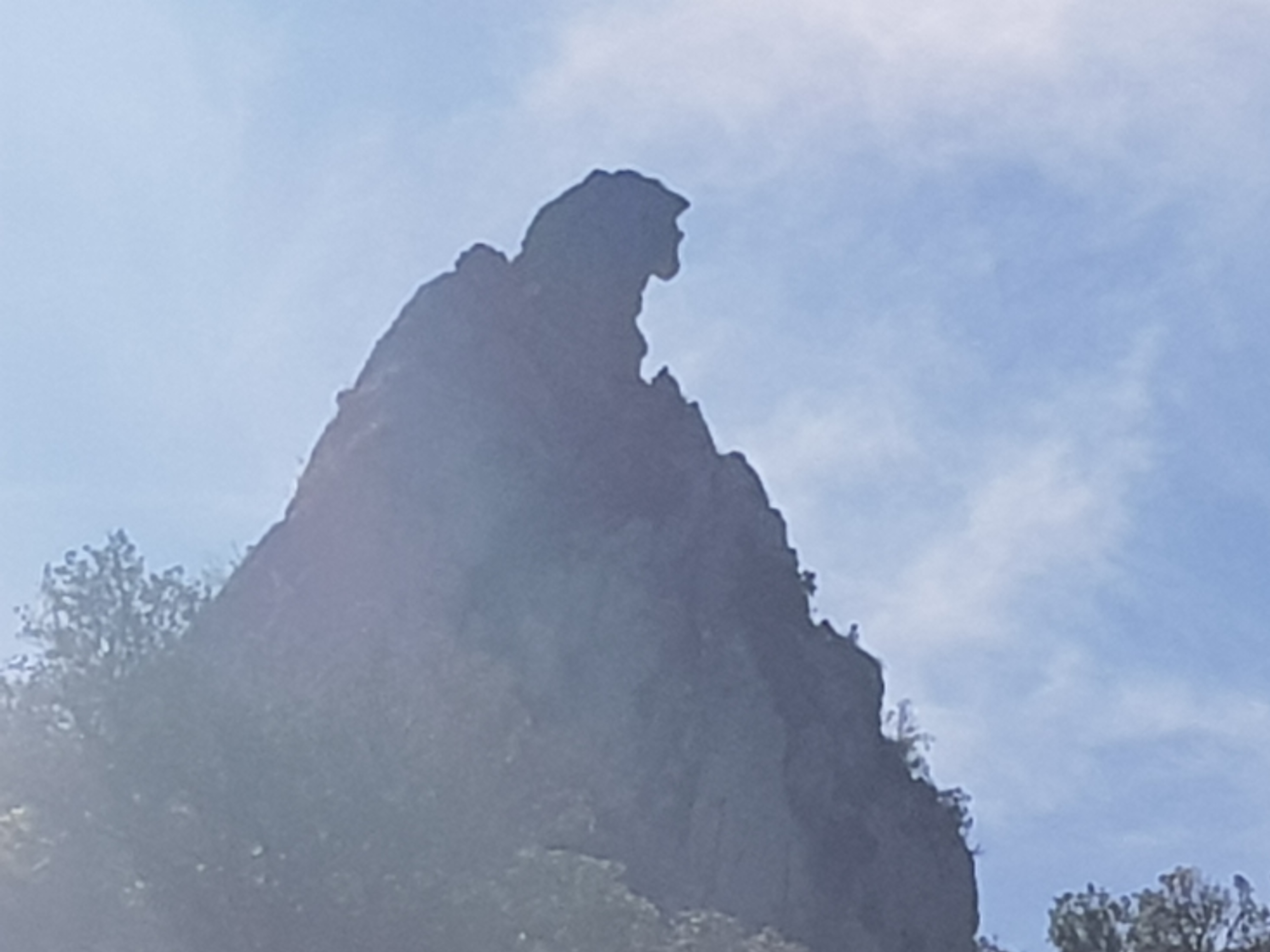 Photo n° 7 de l'avis de Coco.e fait le 21/05/2019 à 12:40