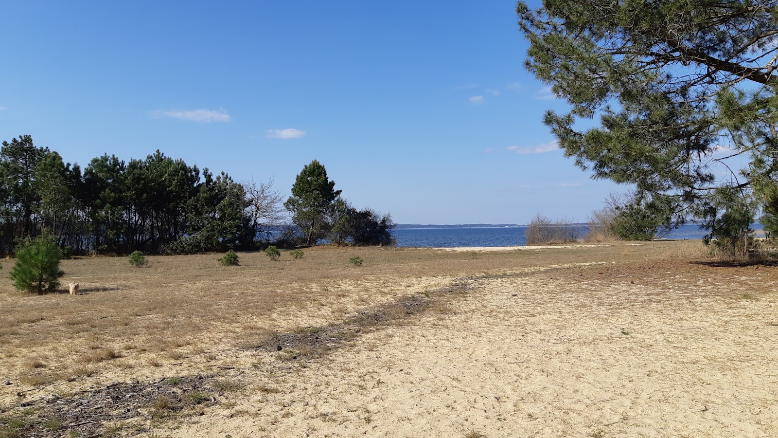 Plage Gaillard photo #8