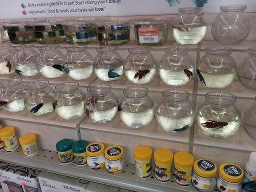 Pet Store «Pet Stop», reviews and photos, 6218 Nieman Rd, Shawnee, KS 66203, USA