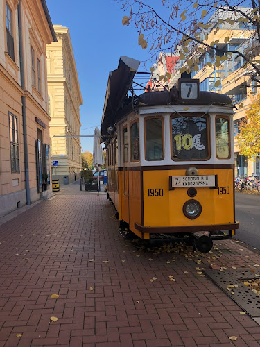 Zrínyi Csemege - Szeged