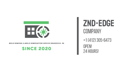 Photo of ZND-EDGE Mold Removal & Mold Remediation Service Braddock, PA