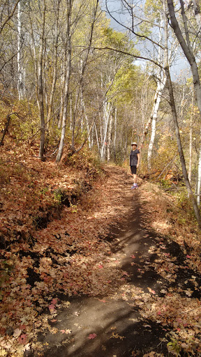 Amusement Park Ride «Park City Alpine Slide», reviews and photos, 1345 Lowell Ave, Park City, UT 84060, USA