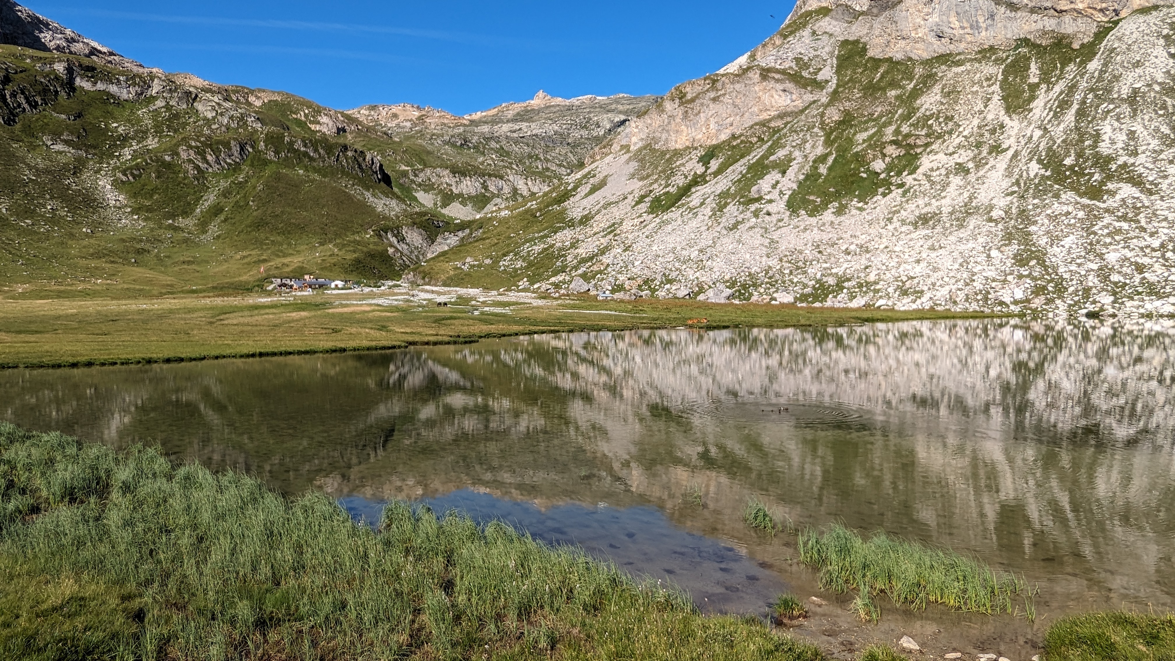 Photo n° 1 de l'avis de Julien.a fait le 31/07/2023 à 17:52