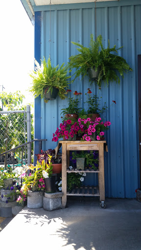 Garden Center «Grange Co-op: Coos Bay», reviews and photos, 1085 S 2nd St, Coos Bay, OR 97420, USA