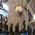 Photo n°3 de l'avis de Desiree.a fait le 09/10/2023 à 18:45 sur le  Il Bisogno Gnoccheria à Rivoli