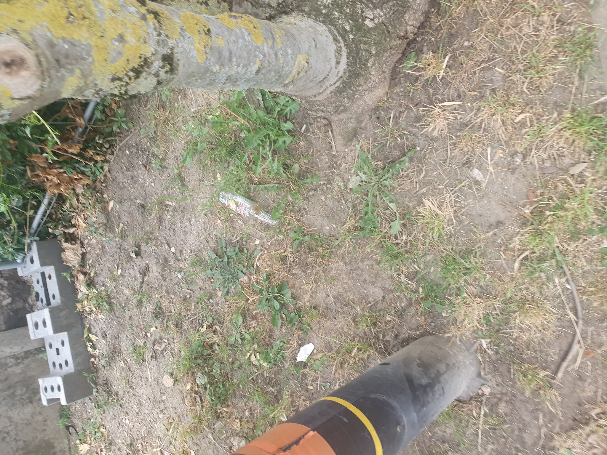 Photo n° 4 de l'avis de TiteufTiteuf. fait le 18/08/2021 à 18:10