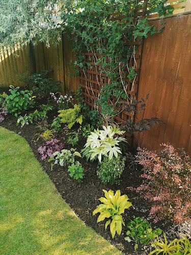 Border Control Garden Design Ltd - Nottingham