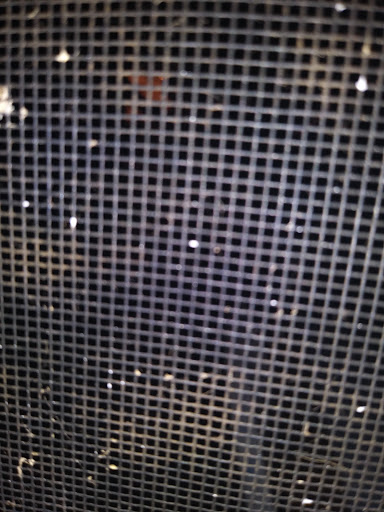 Hardware Store «Vision Ace Hardware», reviews and photos, 8538 Gunn Hwy #10, Odessa, FL 33556, USA