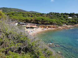 Spiaggia Madonna delle Grazie'in fotoğrafı küçük koy ile birlikte