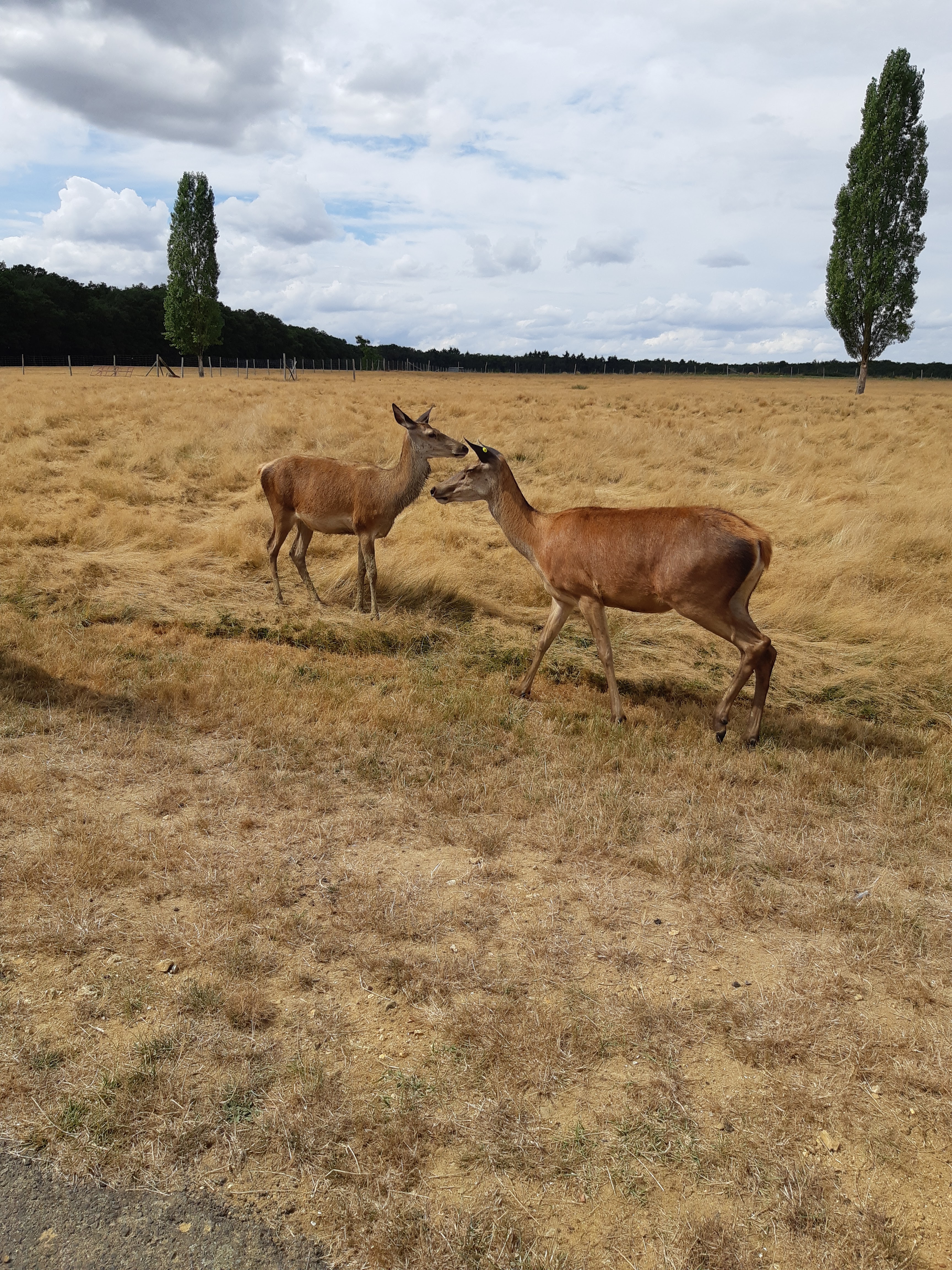 Photo n° 10 de l'avis de Carla.a fait le 10/08/2018 à 15:54