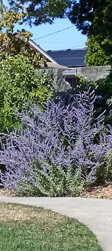 Park «Kirke Park», reviews and photos, 7028 9th Ave NW, Seattle, WA 98117, USA