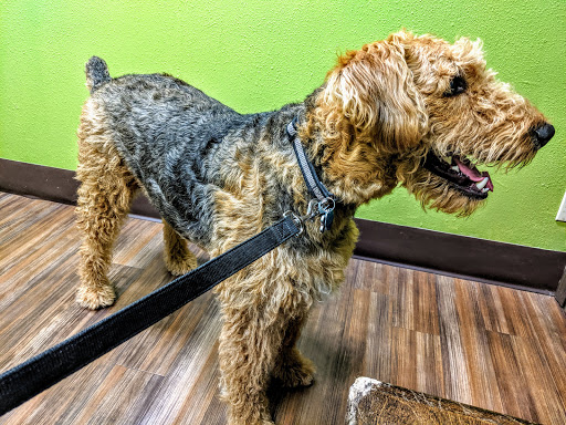 1944 US-77 BUS, San Benito, TX 78586, USA