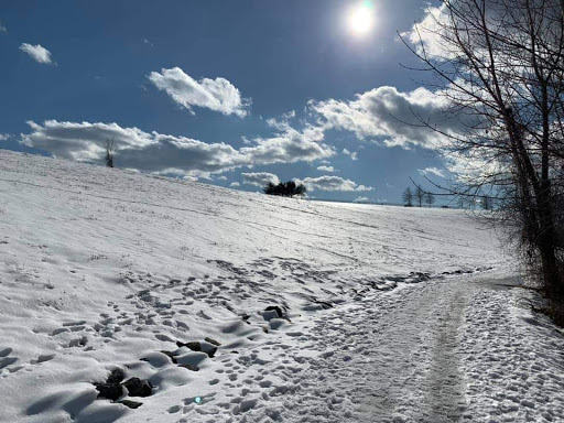 Park «Millennium Park», reviews and photos, 300 Gardner Street, West Roxbury, MA 02132, USA