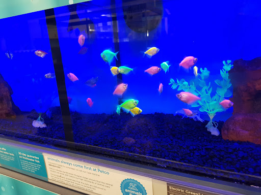 Pet Supply Store «Petco Animal Supplies», reviews and photos, 7400 Rivers Ave z, North Charleston, SC 29406, USA