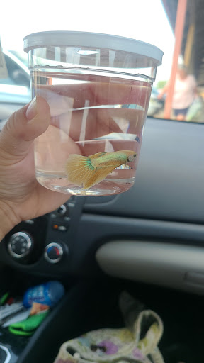 Pet Supply Store «Pet Supplies Plus», reviews and photos, 2424 W State St, Alliance, OH 44601, USA