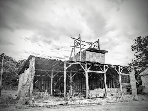 Pet Supply Store «Adams-Briscoe Seed Co», reviews and photos, 325 E 2nd St, Jackson, GA 30233, USA