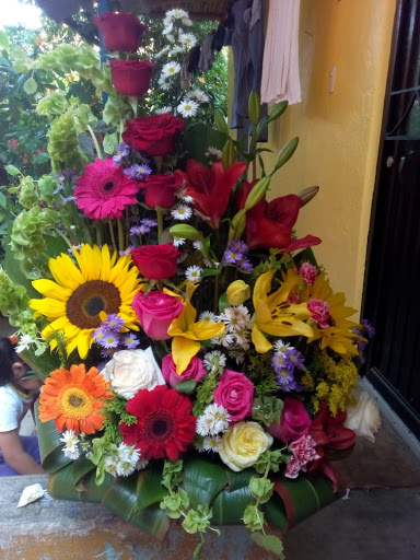 Florería Melitzel – Huejutla de Reyes