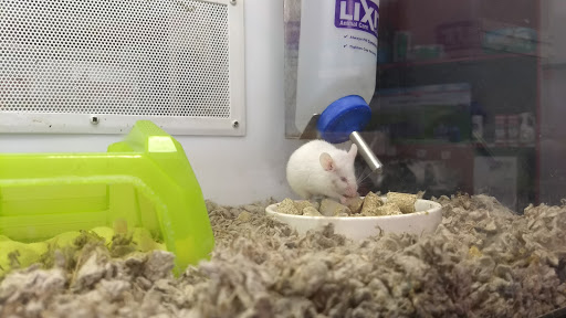 Pet Supply Store «Petco Animal Supplies», reviews and photos, 3731 Gateway Dr, Eau Claire, WI 54701, USA