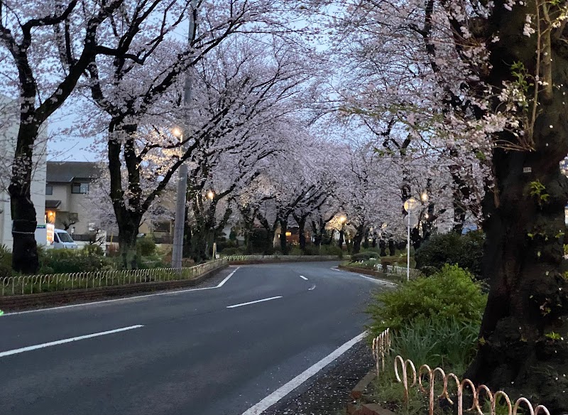 国分寺台緑道