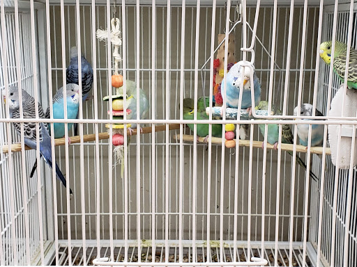 Pet Supply Store «Pet Supplies Plus», reviews and photos, 24-02 Fair Lawn Ave, Fair Lawn, NJ 07410, USA