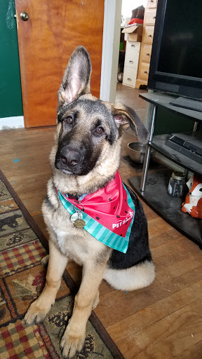 Pet Supply Store «PetSmart», reviews and photos, 8281 Troy Pike, Huber Heights, OH 45424, USA