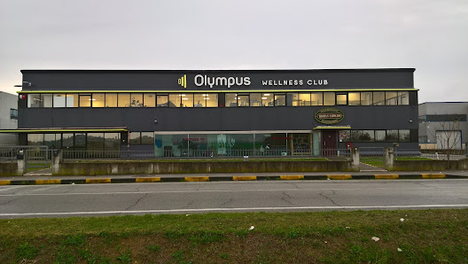 Palestra Olympus Wellness Club Via delle Farniole, 2/B, 52045 Foiano della Chiana AR, Italia