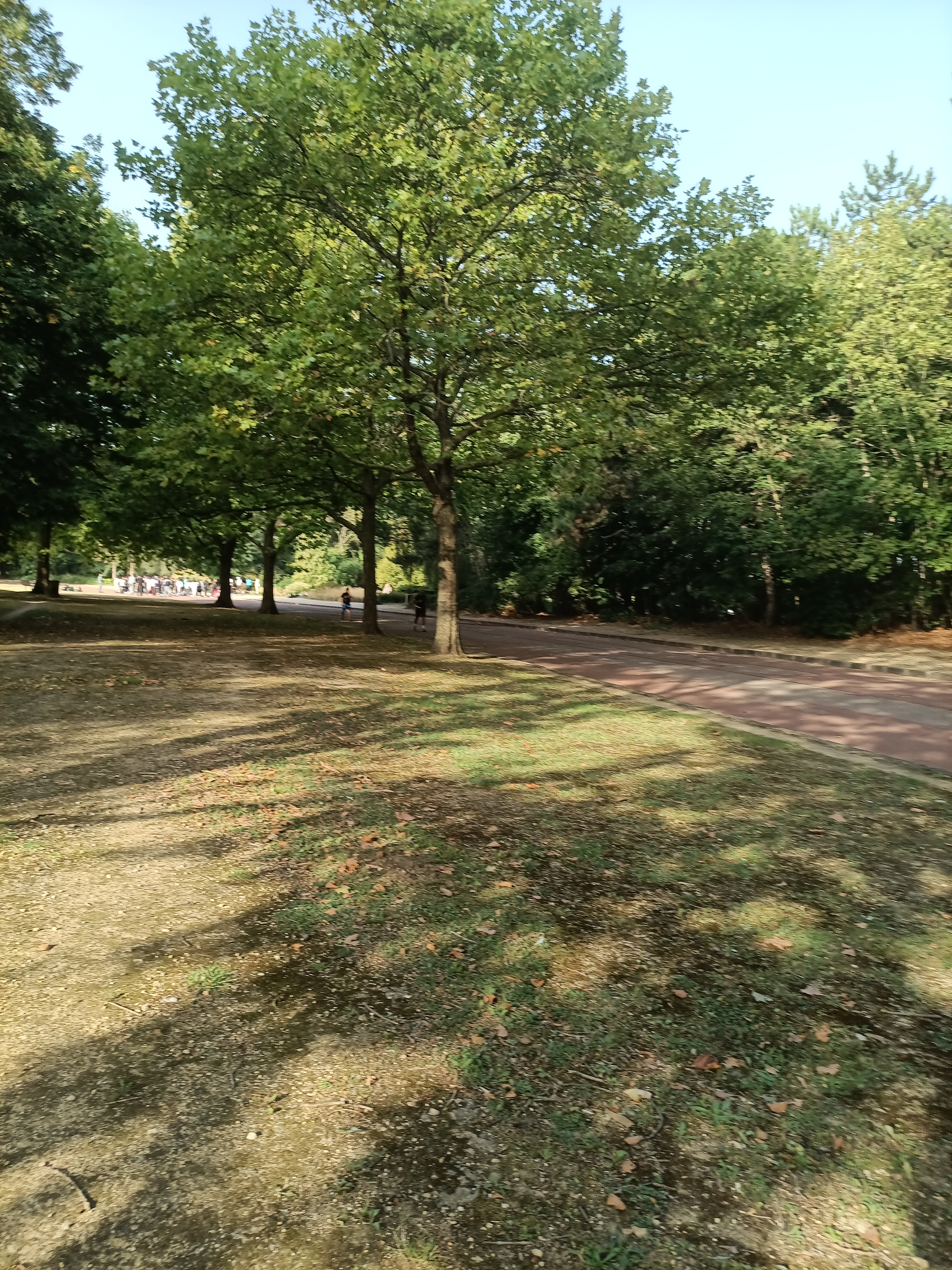 Photo n° 35 de l'avis de ini.e fait le 29/07/2023 à 12:14