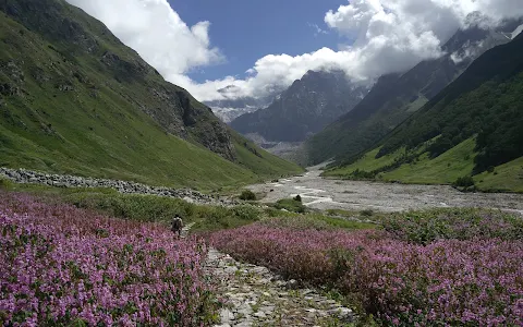 Valley of Flowers National Park image