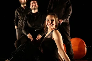 Company Flamenco Minera image