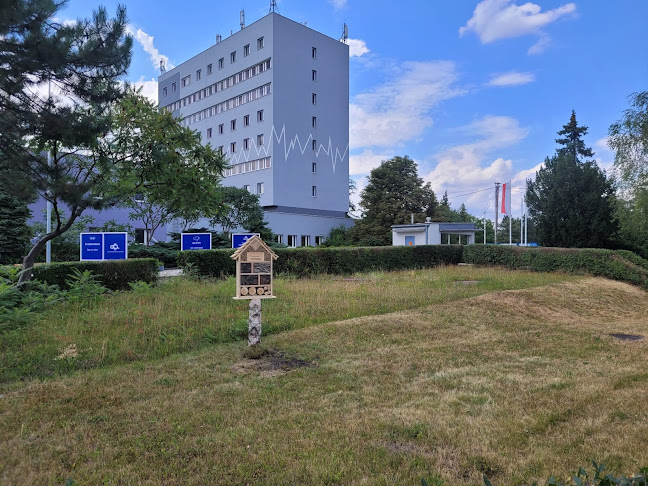 Głogowska 39/47, 45-315 Opole