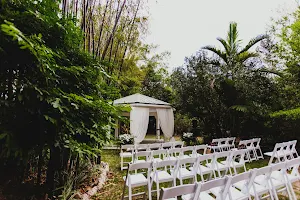 Tropical Wedding Venue image