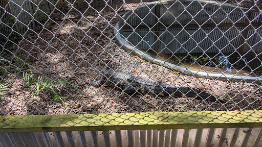 Nature Preserve «Tree Hill Nature Center», reviews and photos, 7152 Lone Star Rd, Jacksonville, FL 32211, USA