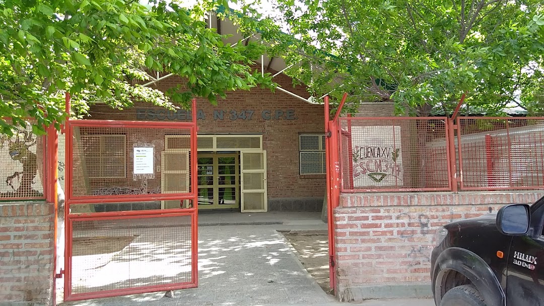 Escuela Primaria N 347