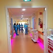 Ospedale di Conegliano - ULSS 2 Marca Trevigiana