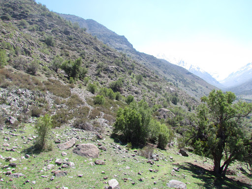 Parque Cordillera Yerba Loca