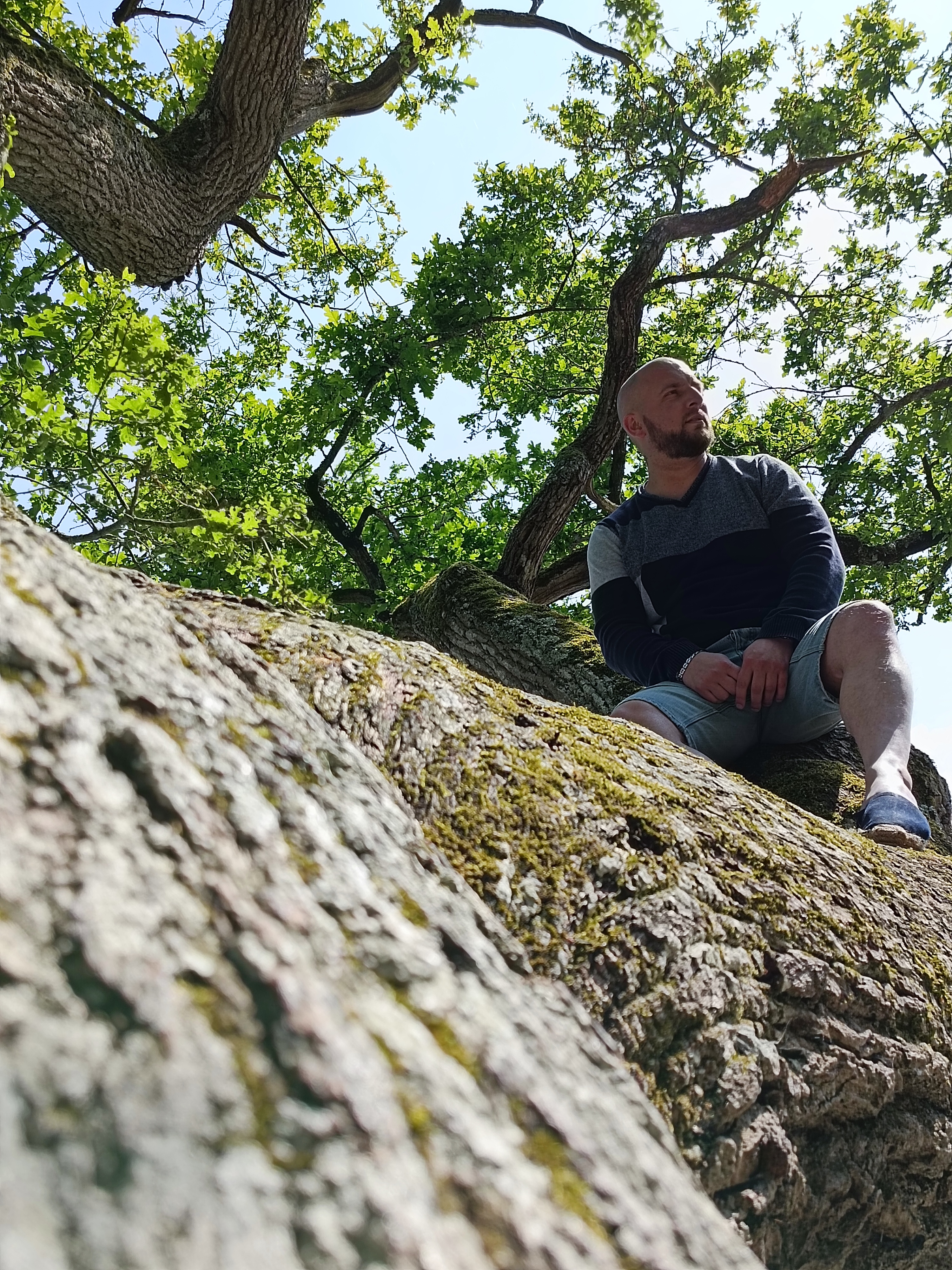 Photo n° 1 de l'avis de Cédric.a fait le 14/05/2022 à 22:04