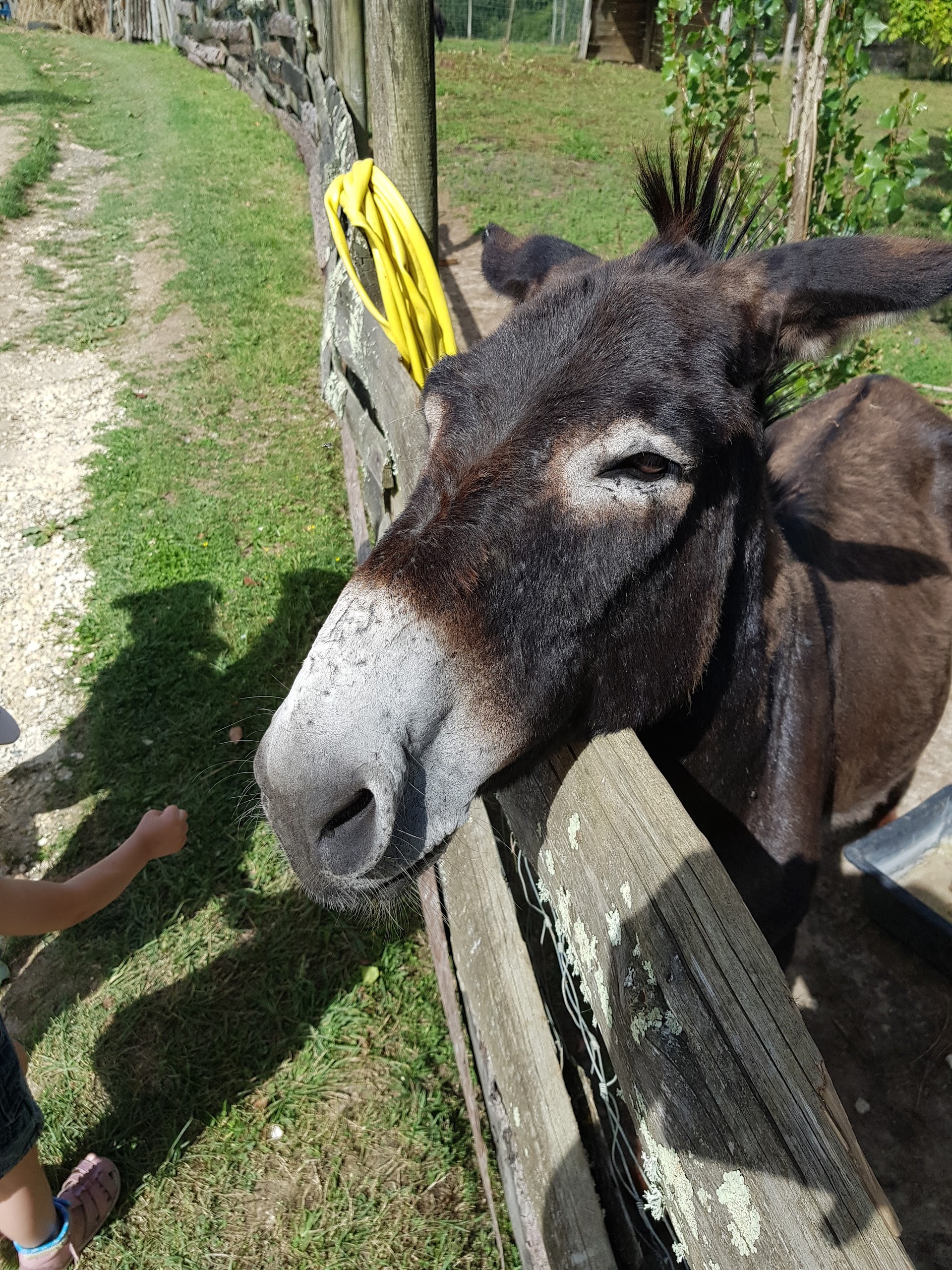 Photo n° 3 de l'avis de Gribs. fait le 13/08/2017 à 17:24