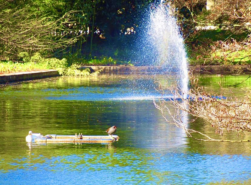 Photo n° 4 de l'avis de Alissia.. fait le 01/10/2022 à 11:21