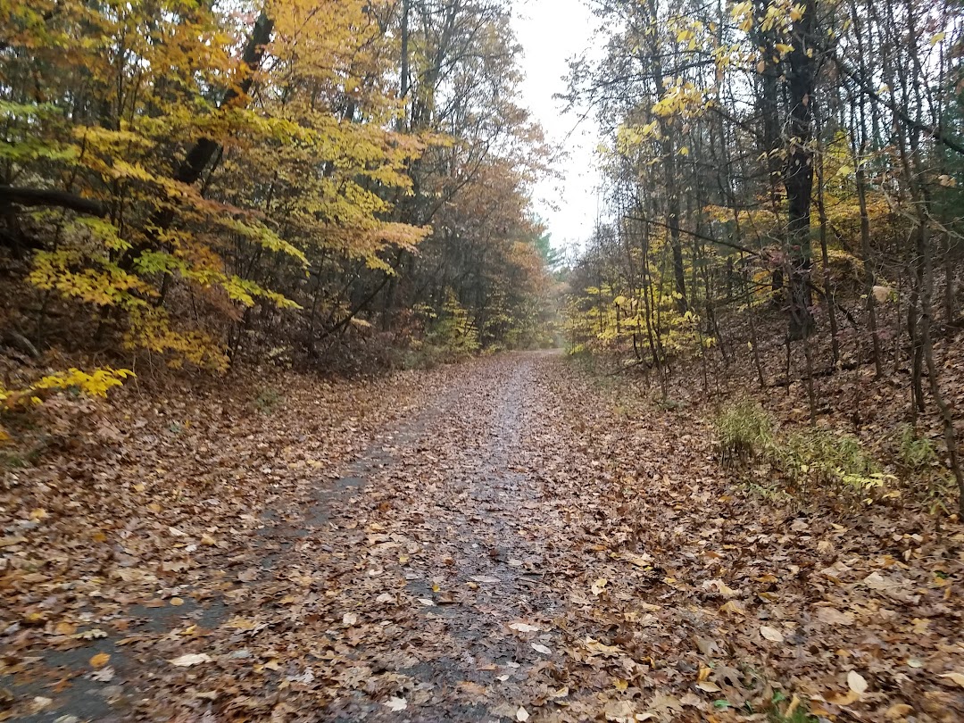 Friends Of The White Pine Trail