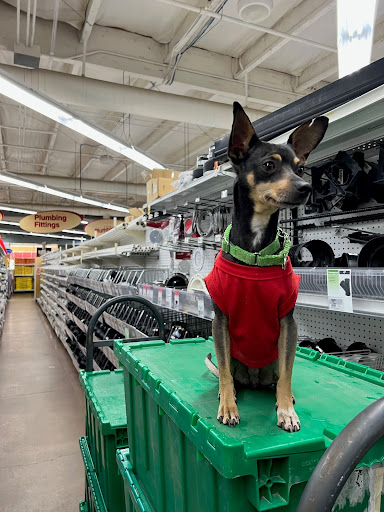 Hardware Store «Pinnacle Peak Ace Hardware», reviews and photos, 23623 N Scottsdale Rd, Scottsdale, AZ 85255, USA