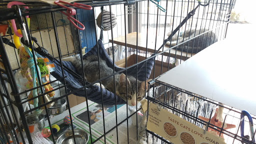 Pet Store «Pet Valu», reviews and photos, 1301 W Skippack Pike, Blue Bell, PA 19422, USA