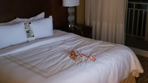 Resort «Sanibel Harbour Marriott Resort & Spa», reviews and photos, 17260 Harbour Pointe Dr, Fort Myers, FL 33908, USA