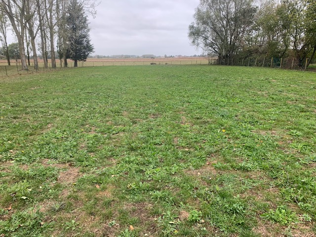 Photo n° 5 de l'avis de laurent.e fait le 08/12/2020 à 11:46