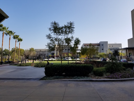 UC Irvine Medical Center Hospital Valet Parking