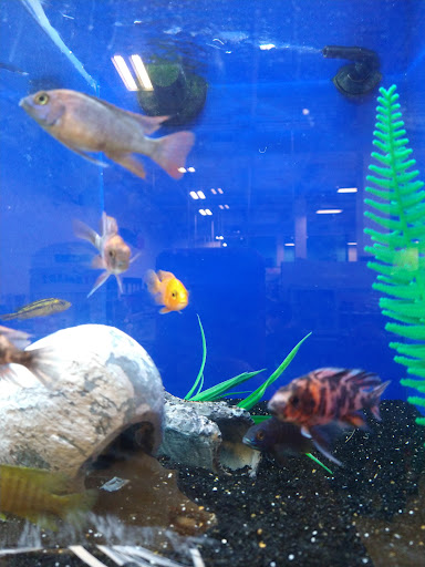 Pet Supply Store «PetSmart», reviews and photos, 1515 US-22, Watchung, NJ 07069, USA