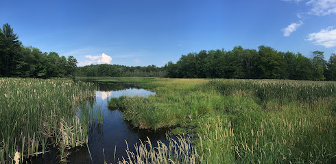 Gales Pond County Park