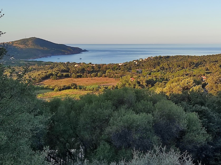 Les Hauts du Torraccia à Cargèse ( )