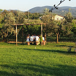 Photo n°1 de l'avis de Giovanna.u fait le 21/06/2022 à 11:53 sur le  Colto e Mangiato Bolgheri - Agriristoro à Bolgheri