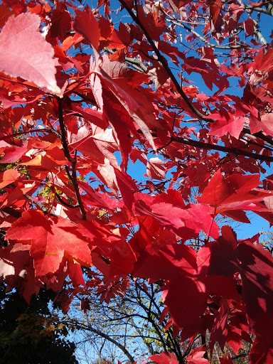 State Park «Bicentennial Capitol Mall State Park», reviews and photos, 600 James Robertson Pkwy, Nashville, TN 37243, USA